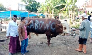 IMG-20230630-WA0003